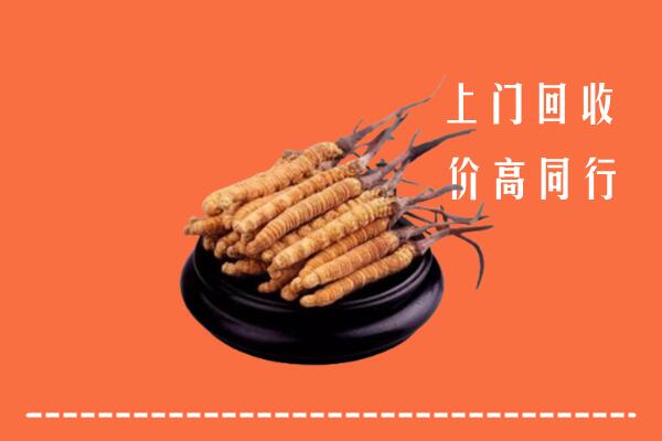 高价求购：安图县回收散虫草