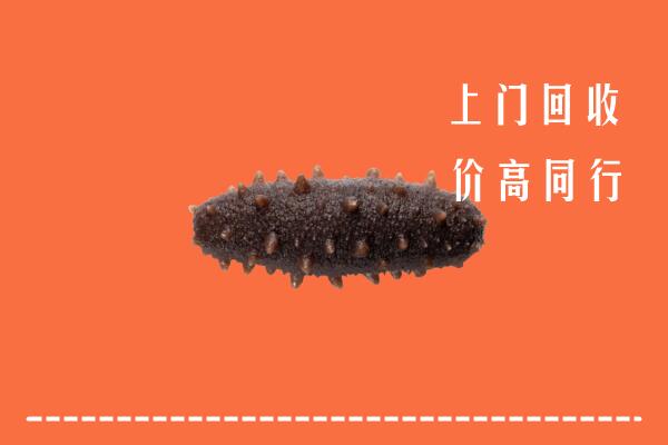 安图县回收海参