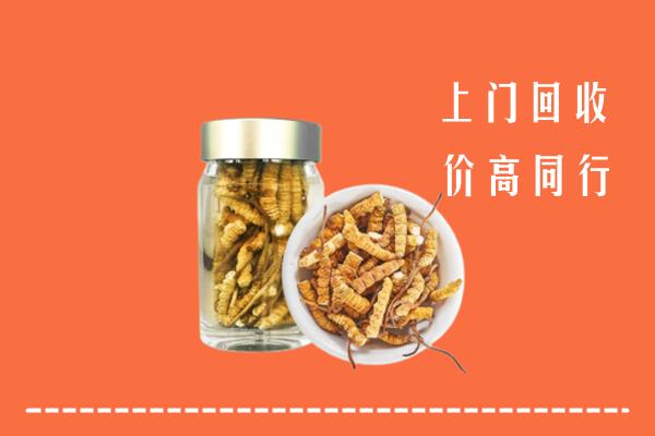 安图县回收冬虫夏草
