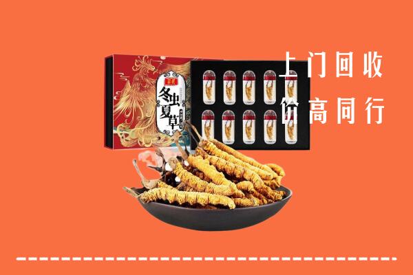 安图县回收虫草